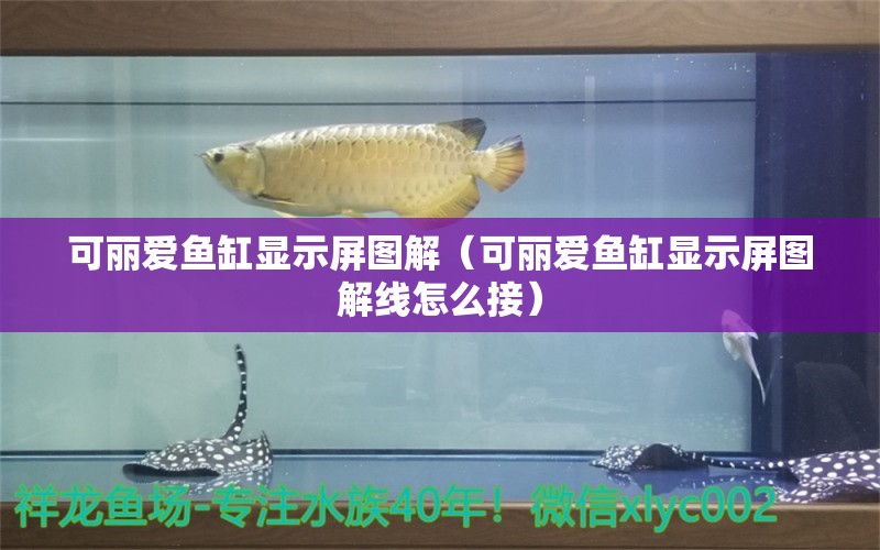 可麗愛魚缸顯示屏圖解（可麗愛魚缸顯示屏圖解線怎么接） iwish愛唯希品牌魚缸