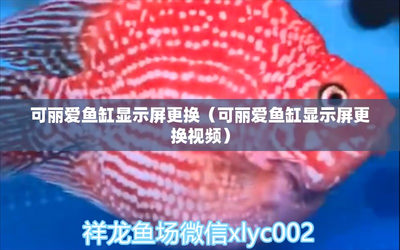 可麗愛魚缸顯示屏更換（可麗愛魚缸顯示屏更換視頻） iwish愛唯希品牌魚缸