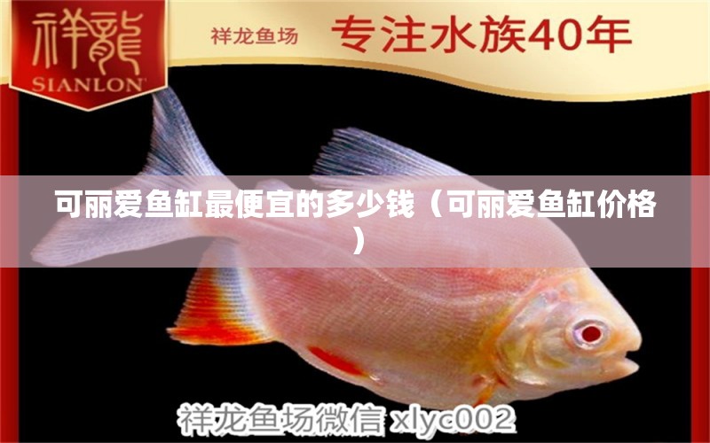 可麗愛魚缸最便宜的多少錢（可麗愛魚缸價格）