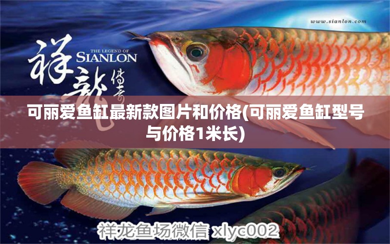 可麗愛魚缸最新款圖片和價格(可麗愛魚缸型號與價格1米長) 白子關(guān)刀魚苗