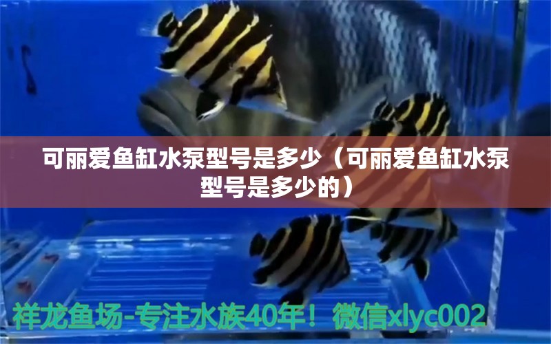 可麗愛魚缸水泵型號是多少（可麗愛魚缸水泵型號是多少的）