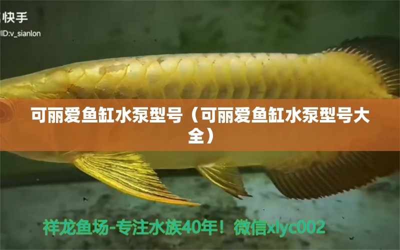 可麗愛魚缸水泵型號（可麗愛魚缸水泵型號大全） 魚缸水泵