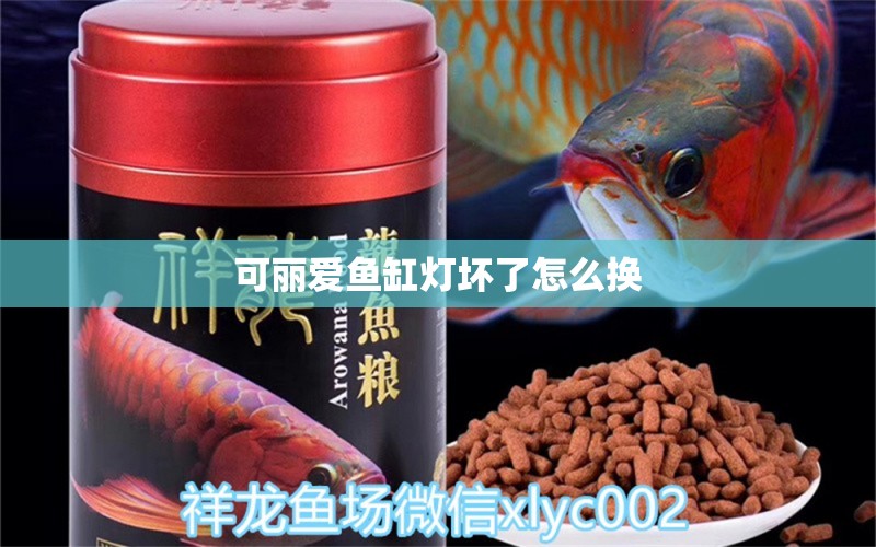 可麗愛魚缸燈壞了怎么換