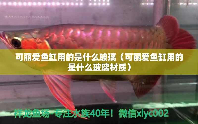 可麗愛(ài)魚(yú)缸用的是什么玻璃（可麗愛(ài)魚(yú)缸用的是什么玻璃材質(zhì)）