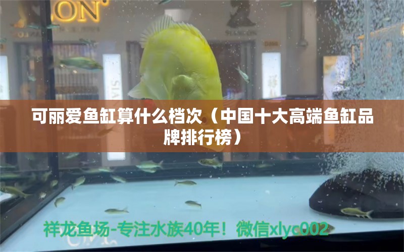 可麗愛魚缸算什么檔次（中國十大高端魚缸品牌排行榜）