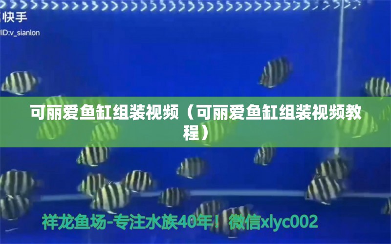 可麗愛(ài)魚(yú)缸組裝視頻（可麗愛(ài)魚(yú)缸組裝視頻教程）