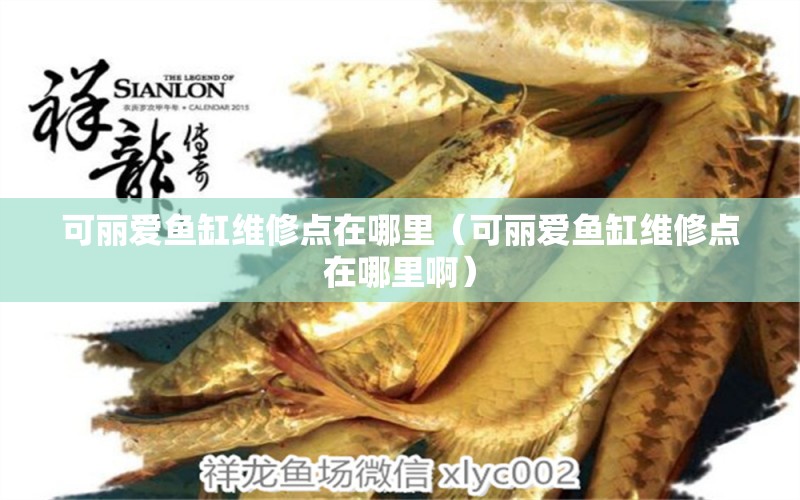 可麗愛魚缸維修點(diǎn)在哪里（可麗愛魚缸維修點(diǎn)在哪里?。? title=