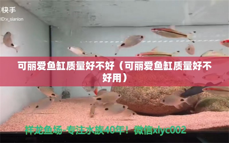 可麗愛(ài)魚(yú)缸質(zhì)量好不好（可麗愛(ài)魚(yú)缸質(zhì)量好不好用）