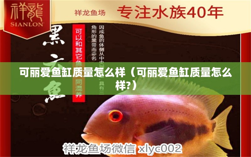 可麗愛魚缸質量怎么樣（可麗愛魚缸質量怎么樣?）