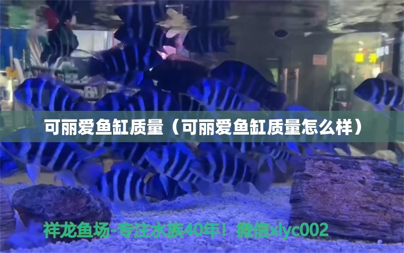 可麗愛魚缸質(zhì)量（可麗愛魚缸質(zhì)量怎么樣） iwish愛唯希品牌魚缸