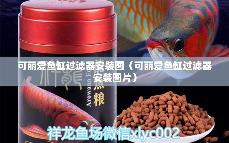 可麗愛魚缸過濾器安裝圖（可麗愛魚缸過濾器安裝圖片）