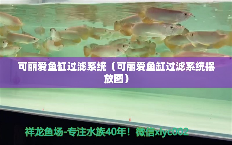 可麗愛魚缸過濾系統(tǒng)（可麗愛魚缸過濾系統(tǒng)擺放圖） iwish愛唯希品牌魚缸