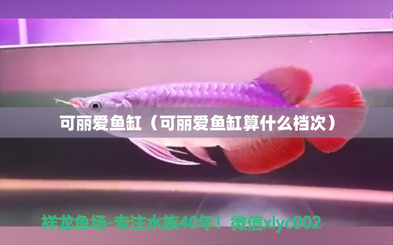 可麗愛魚缸（可麗愛魚缸算什么檔次）