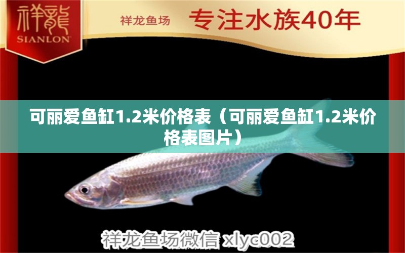 可麗愛(ài)魚(yú)缸1.2米價(jià)格表（可麗愛(ài)魚(yú)缸1.2米價(jià)格表圖片） iwish愛(ài)唯希品牌魚(yú)缸