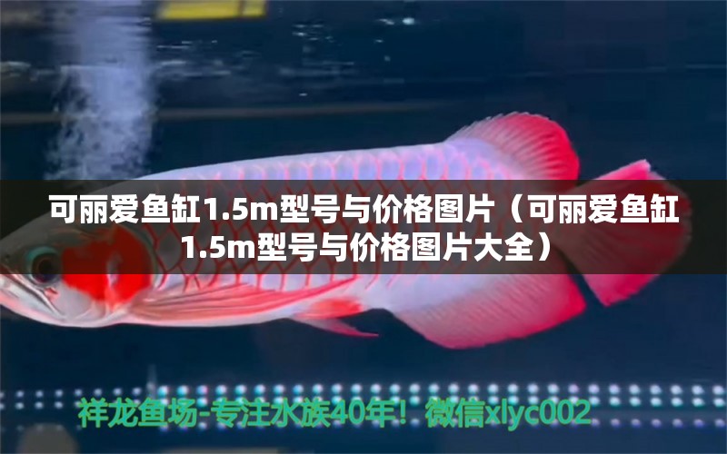 可麗愛魚缸1.5m型號與價格圖片（可麗愛魚缸1.5m型號與價格圖片大全）