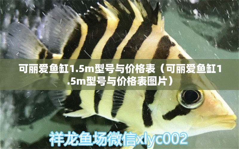 可麗愛魚缸1.5m型號與價格表（可麗愛魚缸1.5m型號與價格表圖片） iwish愛唯希品牌魚缸