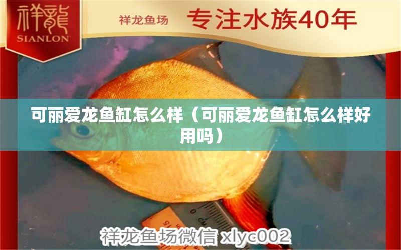 可麗愛(ài)龍魚(yú)缸怎么樣（可麗愛(ài)龍魚(yú)缸怎么樣好用嗎）