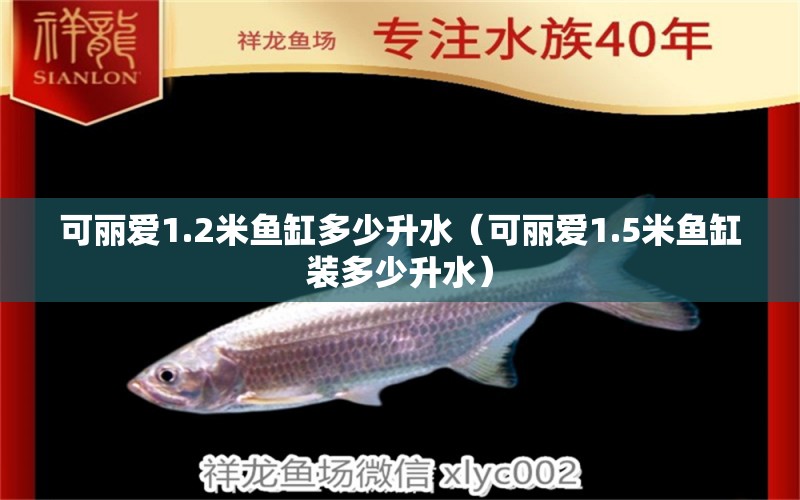 可麗愛(ài)1.2米魚(yú)缸多少升水（可麗愛(ài)1.5米魚(yú)缸裝多少升水）