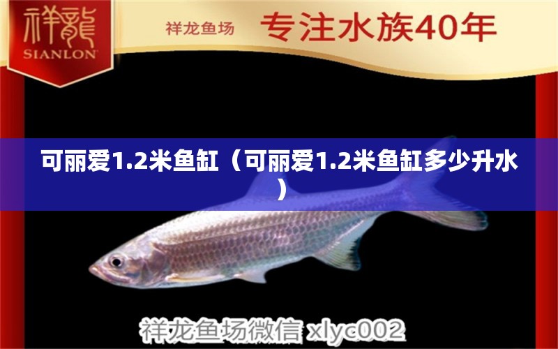 可麗愛(ài)1.2米魚(yú)缸（可麗愛(ài)1.2米魚(yú)缸多少升水）