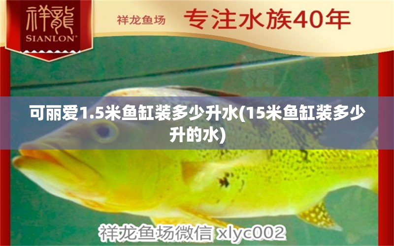 可麗愛1.5米魚缸裝多少升水(15米魚缸裝多少升的水) 麥肯斯銀版魚 第2張