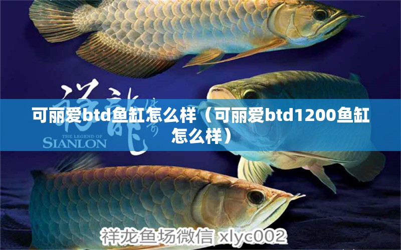 可麗愛(ài)btd魚(yú)缸怎么樣（可麗愛(ài)btd1200魚(yú)缸怎么樣）