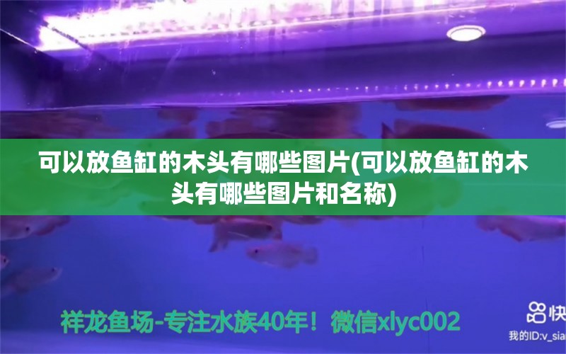 可以放魚缸的木頭有哪些圖片(可以放魚缸的木頭有哪些圖片和名稱) 照明器材 第1張