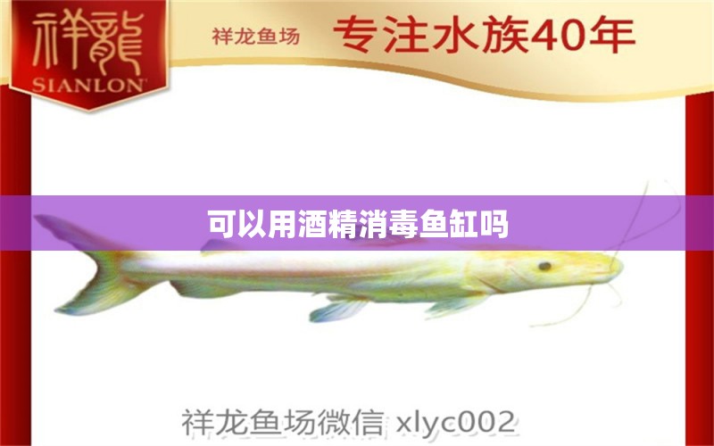 可以用酒精消毒魚缸嗎