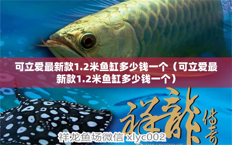 可立愛最新款1.2米魚缸多少錢一個（可立愛最新款1.2米魚缸多少錢一個） 魚缸百科