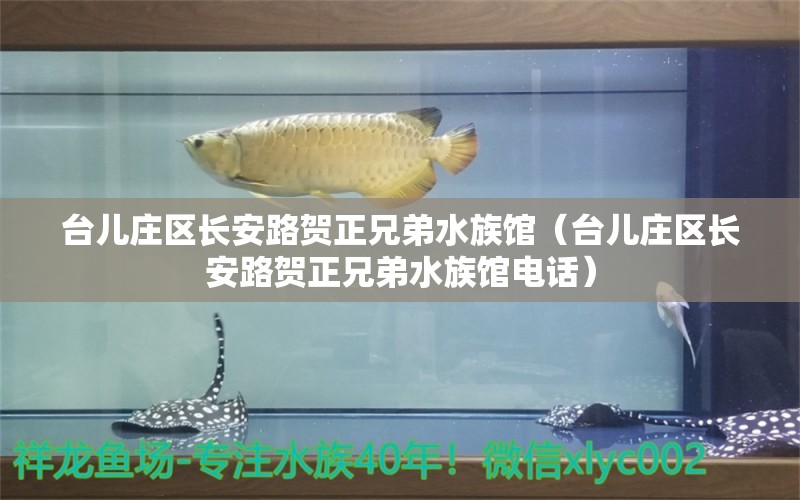 臺(tái)兒莊區(qū)長(zhǎng)安路賀正兄弟水族館（臺(tái)兒莊區(qū)長(zhǎng)安路賀正兄弟水族館電話）