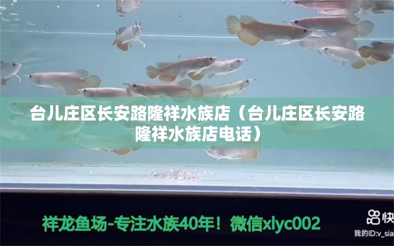 臺(tái)兒莊區(qū)長(zhǎng)安路隆祥水族店（臺(tái)兒莊區(qū)長(zhǎng)安路隆祥水族店電話） 全國(guó)水族館企業(yè)名錄