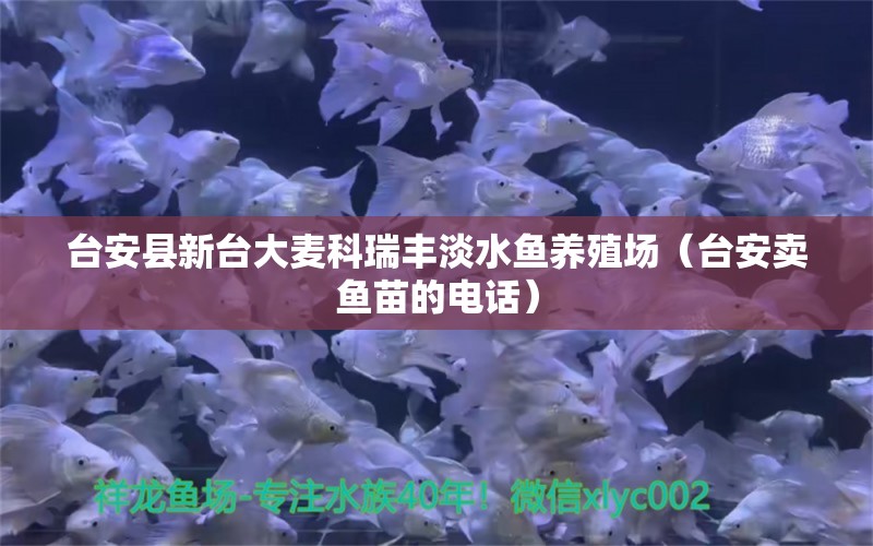 臺安縣新臺大麥科瑞豐淡水魚養(yǎng)殖場（臺安賣魚苗的電話） 全國水族館企業(yè)名錄