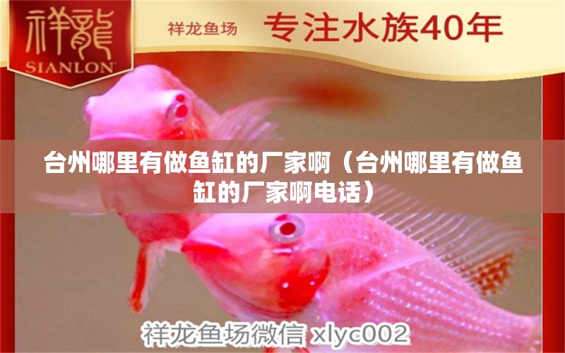 臺州哪里有做魚缸的廠家啊（臺州哪里有做魚缸的廠家啊電話）