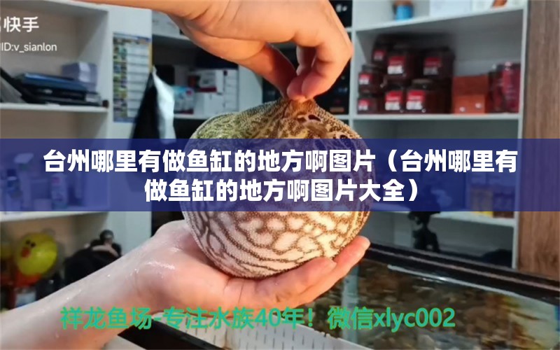 臺(tái)州哪里有做魚缸的地方啊圖片（臺(tái)州哪里有做魚缸的地方啊圖片大全）