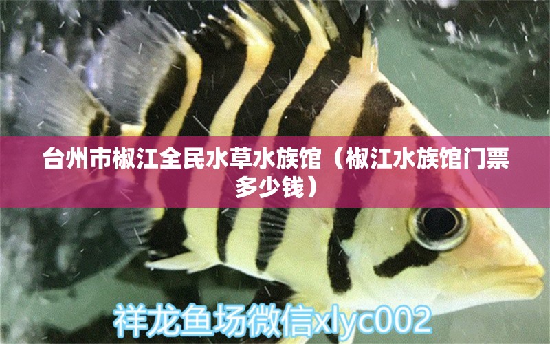 臺(tái)州市椒江全民水草水族館（椒江水族館門票多少錢） 水草