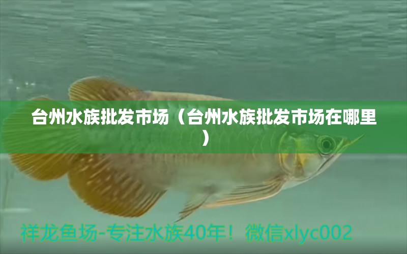 臺(tái)州水族批發(fā)市場(chǎng)（臺(tái)州水族批發(fā)市場(chǎng)在哪里）