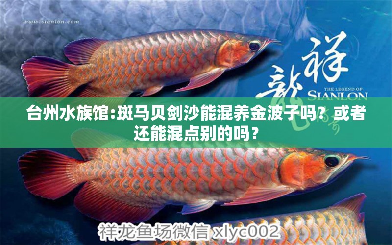 臺(tái)州水族館:斑馬貝劍沙能混養(yǎng)金波子嗎？或者還能混點(diǎn)別的嗎？ 龍魚(yú)專(zhuān)用燈