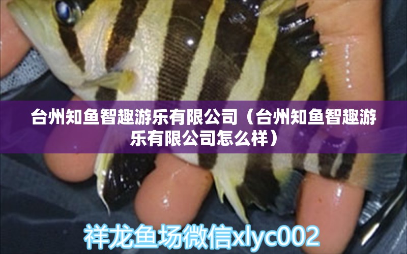 臺州知魚智趣游樂有限公司（臺州知魚智趣游樂有限公司怎么樣）