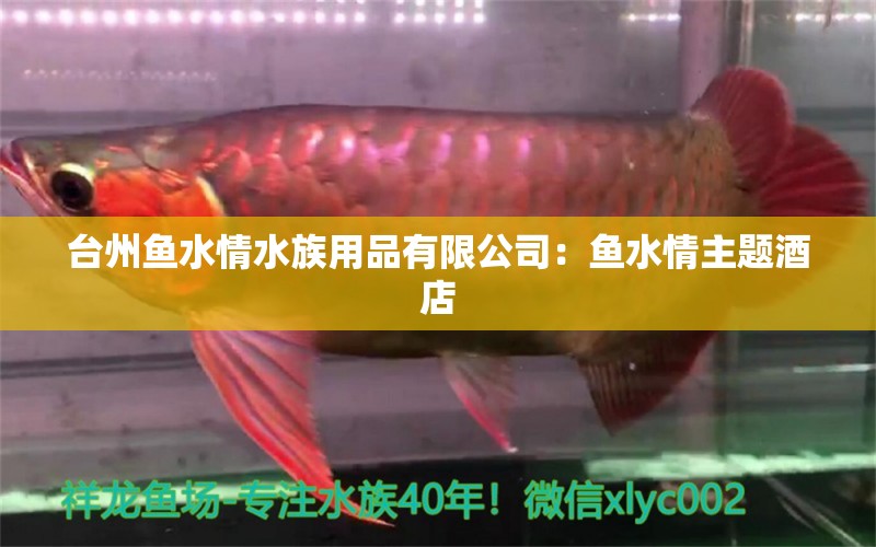 臺(tái)州魚水情水族用品有限公司：魚水情主題酒店