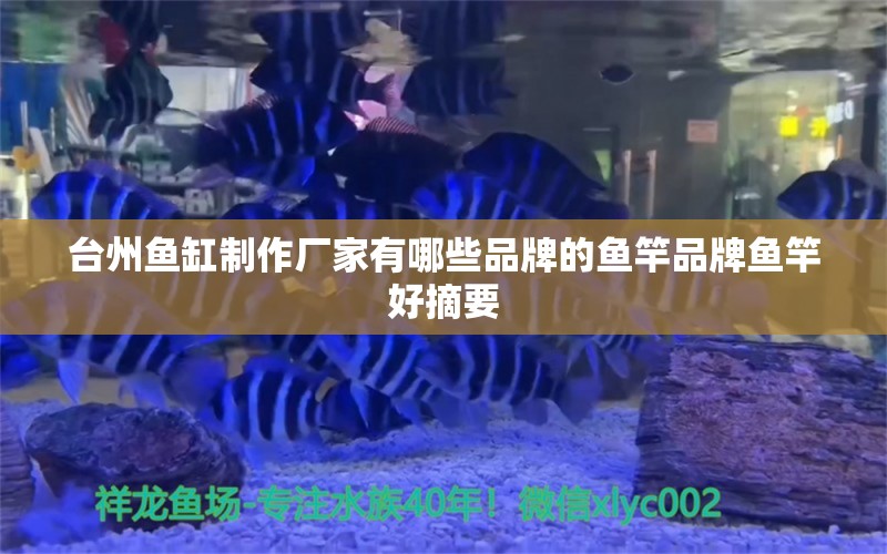 臺(tái)州魚缸制作廠家有哪些品牌的魚竿品牌魚竿好摘要