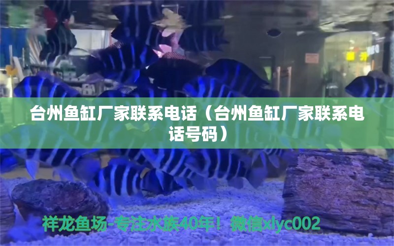 臺(tái)州魚缸廠家聯(lián)系電話（臺(tái)州魚缸廠家聯(lián)系電話號(hào)碼）