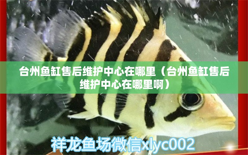 臺州魚缸售后維護(hù)中心在哪里（臺州魚缸售后維護(hù)中心在哪里?。?其他品牌魚缸