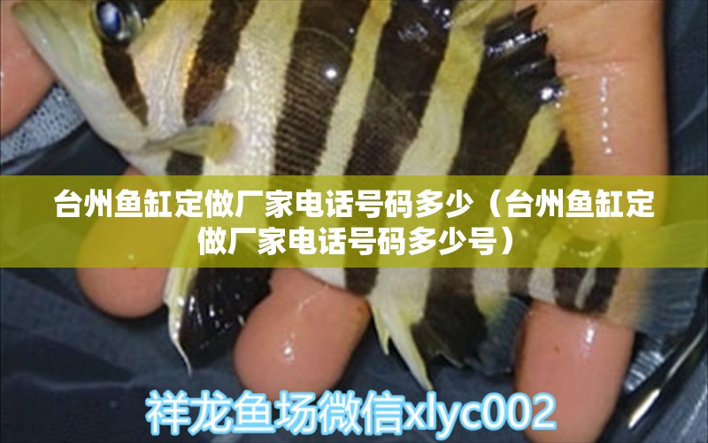 臺州魚缸定做廠家電話號碼多少（臺州魚缸定做廠家電話號碼多少號）