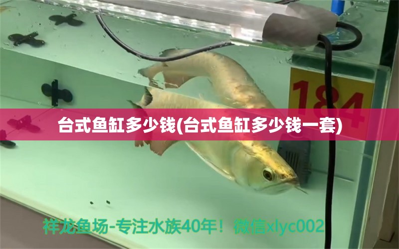 臺式魚缸多少錢(臺式魚缸多少錢一套)