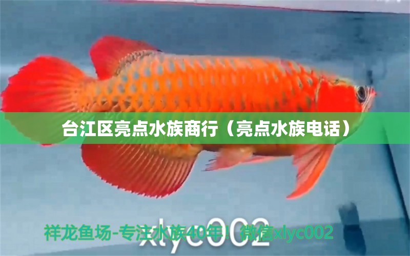 臺江區(qū)亮點水族商行（亮點水族電話）