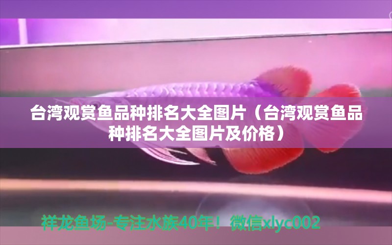 臺灣觀賞魚品種排名大全圖片（臺灣觀賞魚品種排名大全圖片及價格） 祥龍水族醫(yī)院