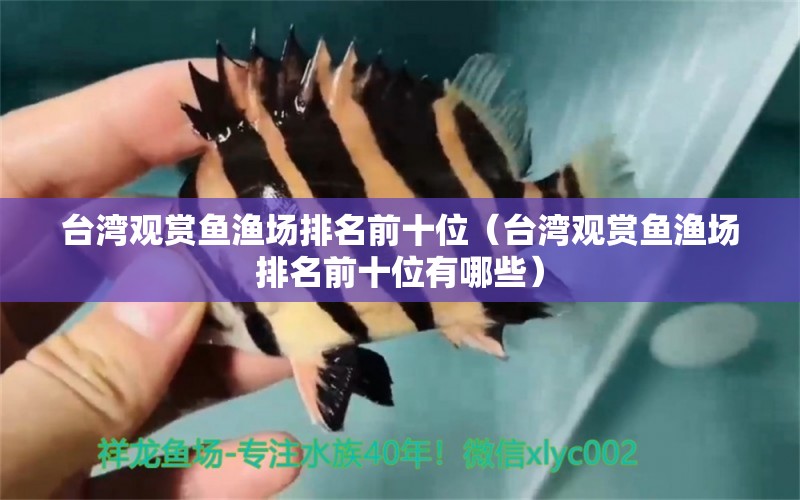 臺灣觀賞魚漁場排名前十位（臺灣觀賞魚漁場排名前十位有哪些）