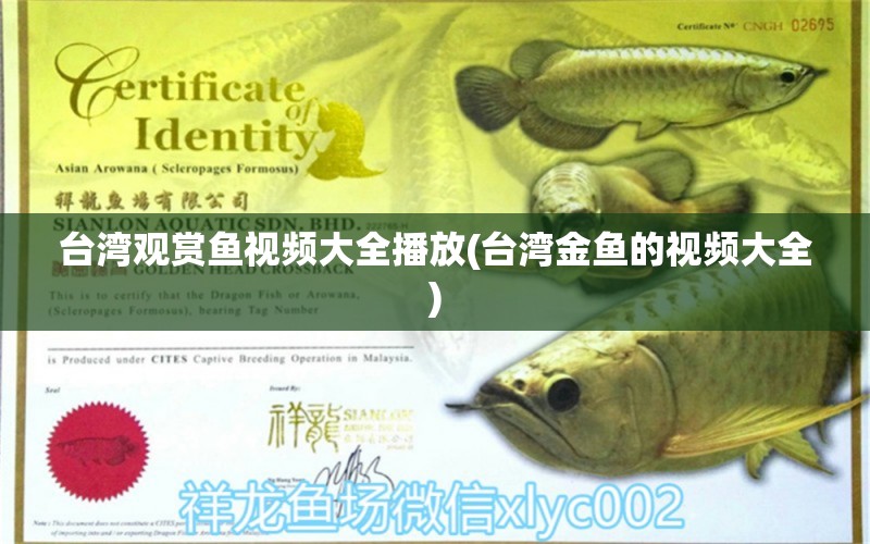 臺灣觀賞魚視頻大全播放(臺灣金魚的視頻大全)