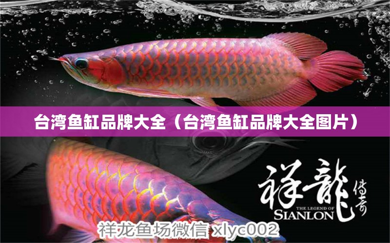 臺灣魚缸品牌大全（臺灣魚缸品牌大全圖片）