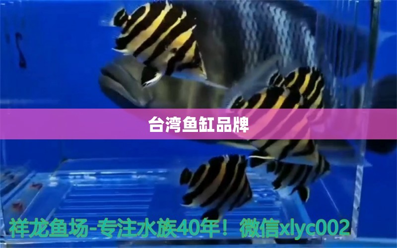 臺灣魚缸品牌