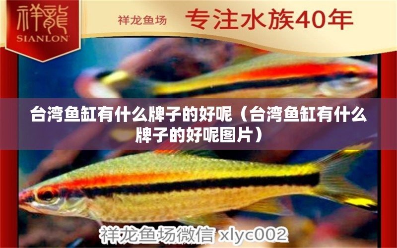 臺(tái)灣魚缸有什么牌子的好呢（臺(tái)灣魚缸有什么牌子的好呢圖片） 帝王迷宮